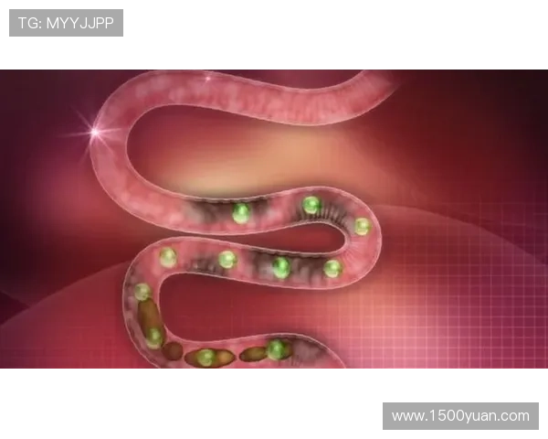 凯时KS国际官网入口提供多平台登录方式介绍，确保玩家随时随地畅享游戏乐趣