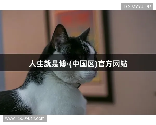 尊龙人生就是博i：如何通过游戏实现自我价值与人生理想