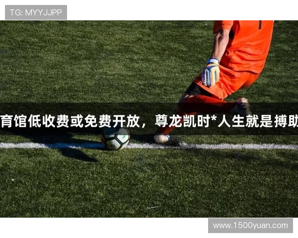 尊龙凯时体育多平台兼容性分析确保你随时随地畅享体育娱乐